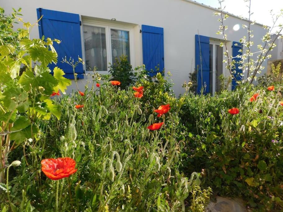Maisonnette De Jardin Marsella Exterior foto
