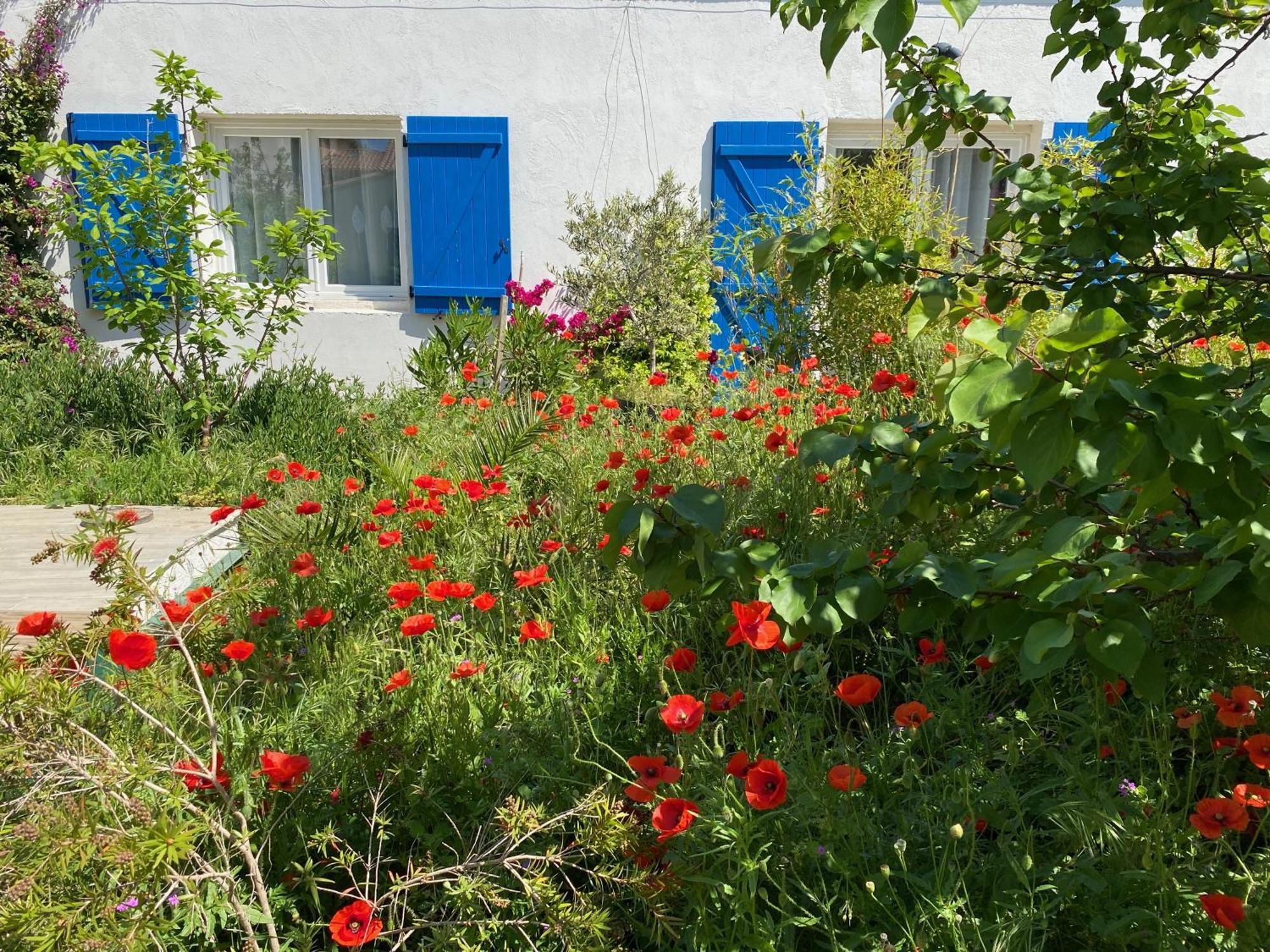 Maisonnette De Jardin Marsella Exterior foto
